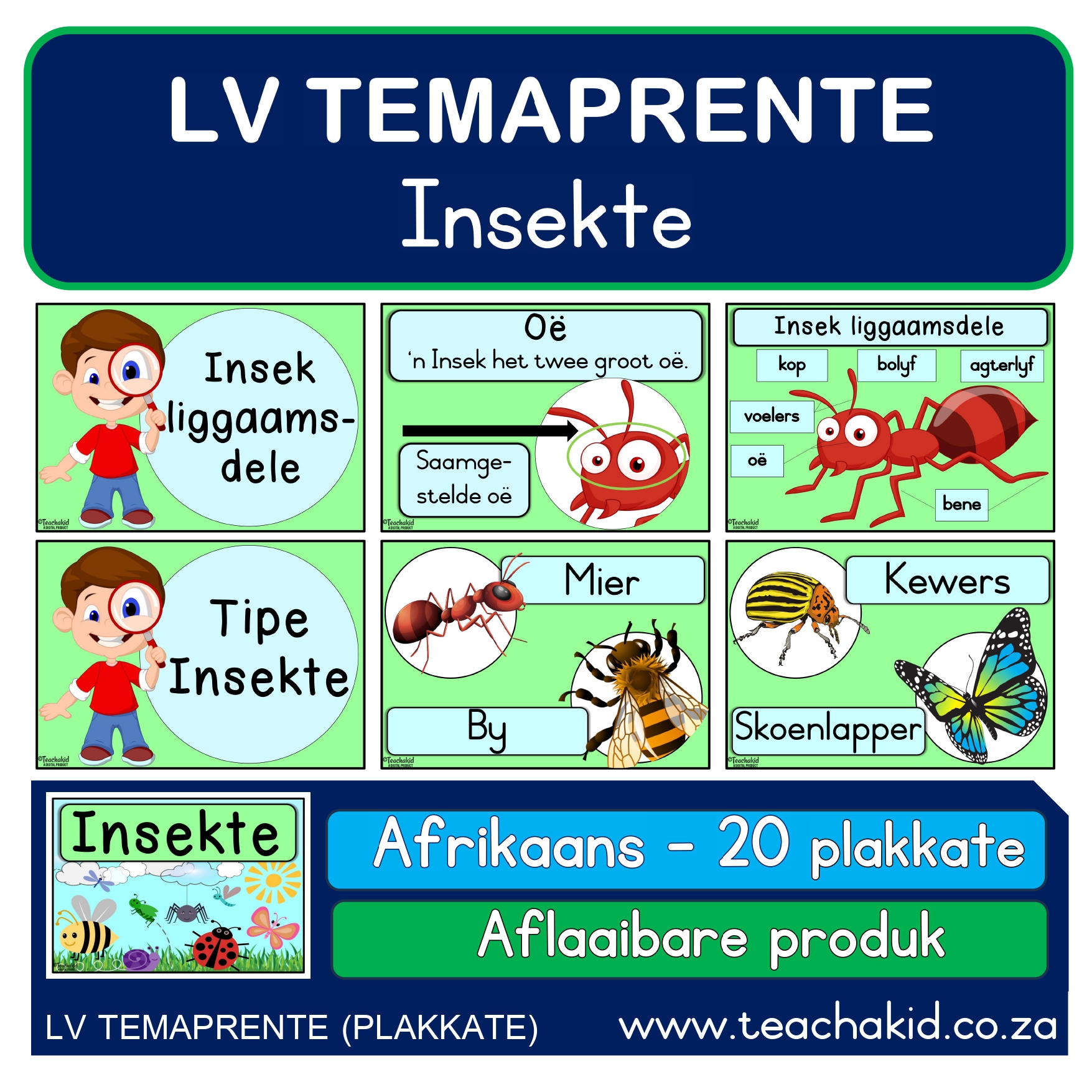 Temaprente Insekte (PDF)