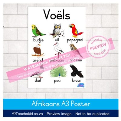 Voëls Plakkaat