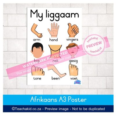 My liggaam Plakkaat 01
