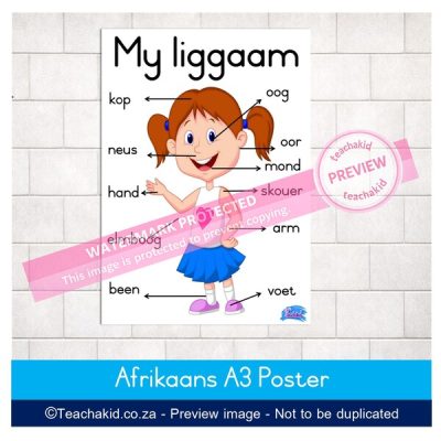 My liggaam Plakkaat 02
