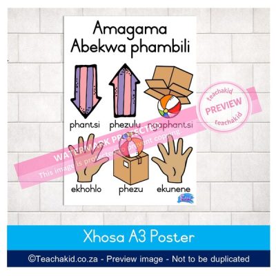Xhosa Positional Words Poster