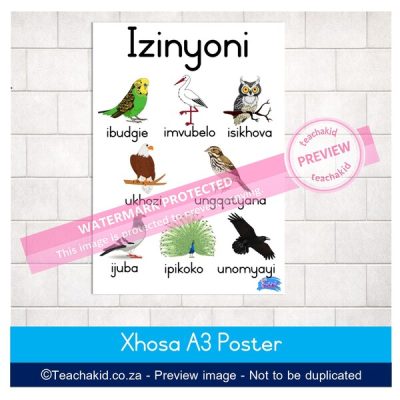 Xhosa Birds Poster