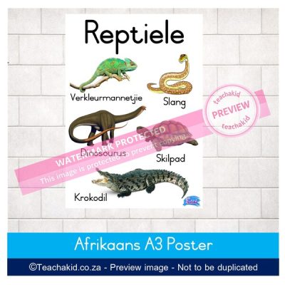 Reptiele Plakkaat