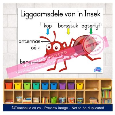 Insekte Plakkaat