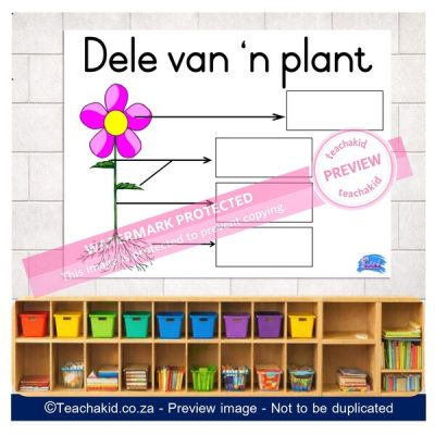 Plante Plakkaat 02