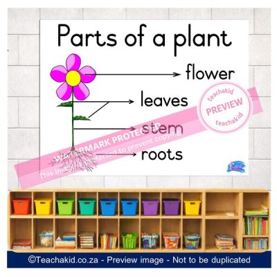Plant Poster 01