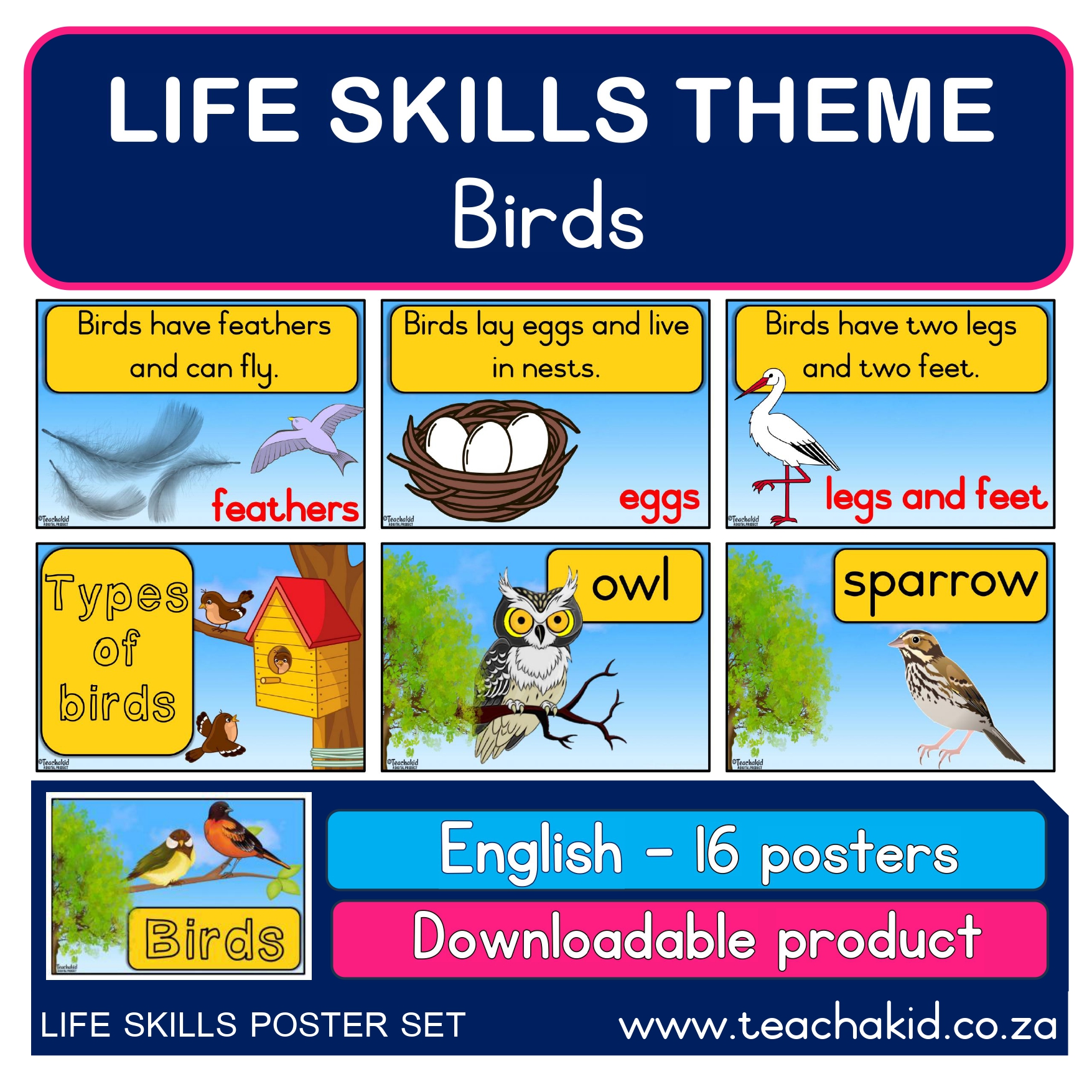 Life Skills posters Birds (PDF)