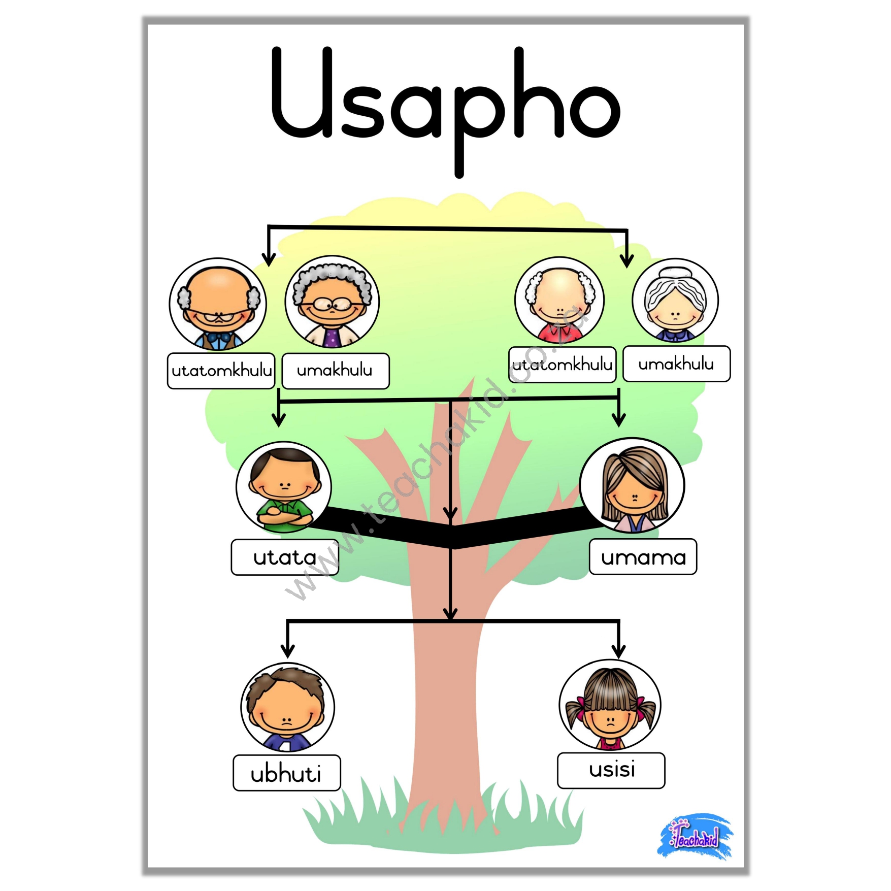 Family tree with labels in Xhosa – poster (printed)