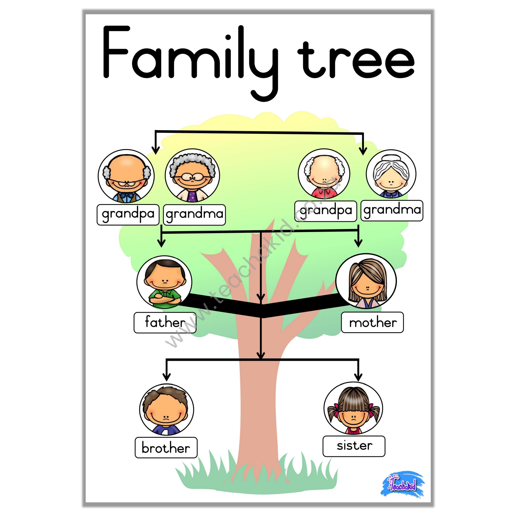 Family tree with labels – poster (printed)