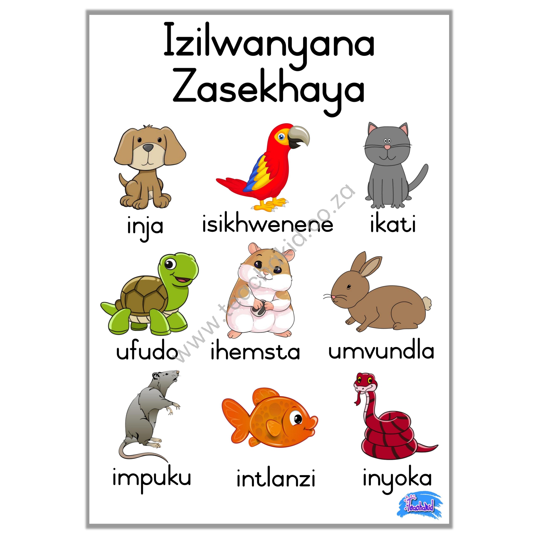 Izilwanyana Zasekhaya – poster (printed)