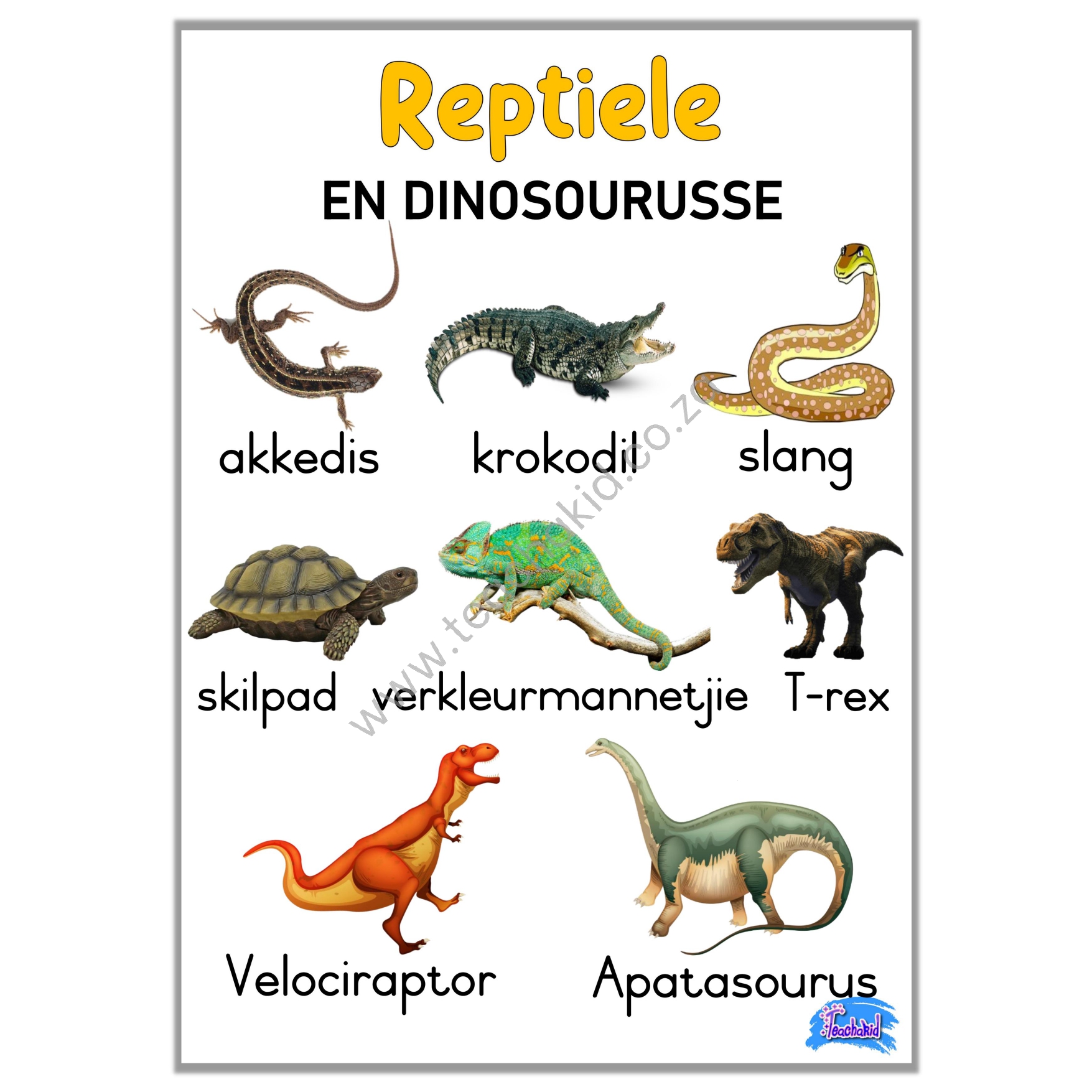 Reptiele en dinosourusse – poster (printed)