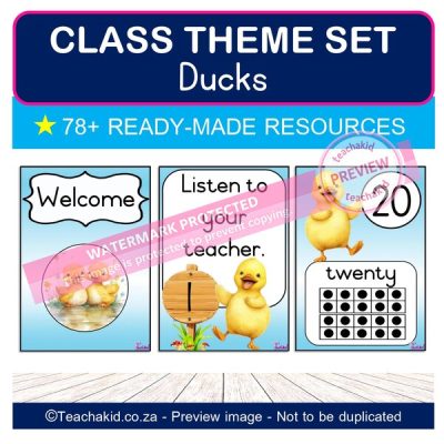Ducks Set