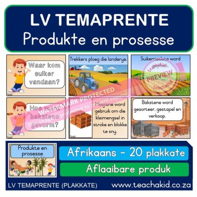 Temaprente Produkte en prosesse (PDF)