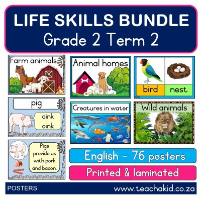 Poster bundle: Grade 2 Term 2 Life Skills (printed)