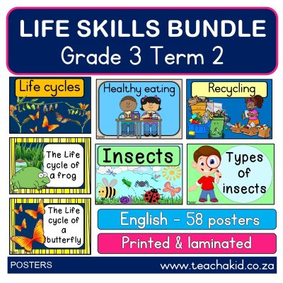 Poster bundle: Grade 3 Term 2 Life Skills (printed)