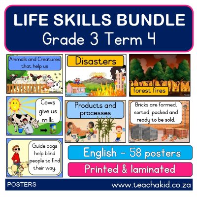 Poster bundle: Grade 3 Term 4 Life Skills (printed)