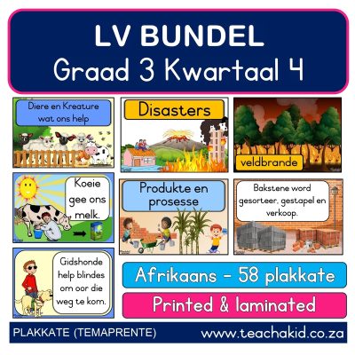 Plakkaat bundel: Graad 3 Kwartaal 4 LV (printed)