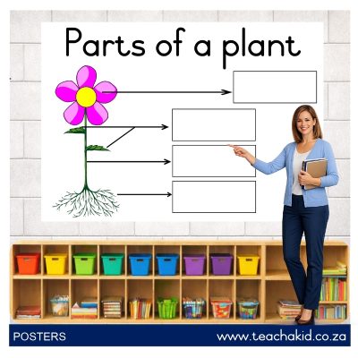Poster: Parts of a plant 02 (printed)