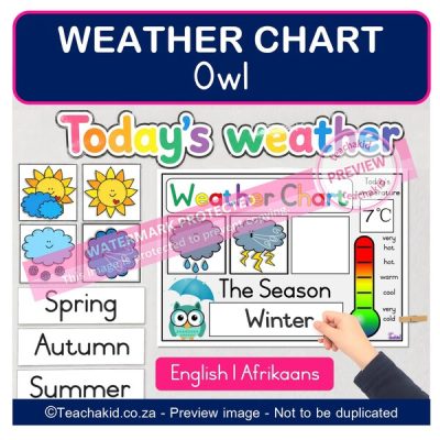 Owl Weather Chart (printed)