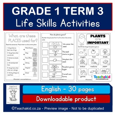Grade 1 Term 3 Life Skills Activities (PDF)