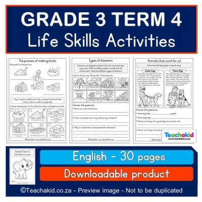 NEW! Grade 3 Term 4 Life Skills Activities (PDF)